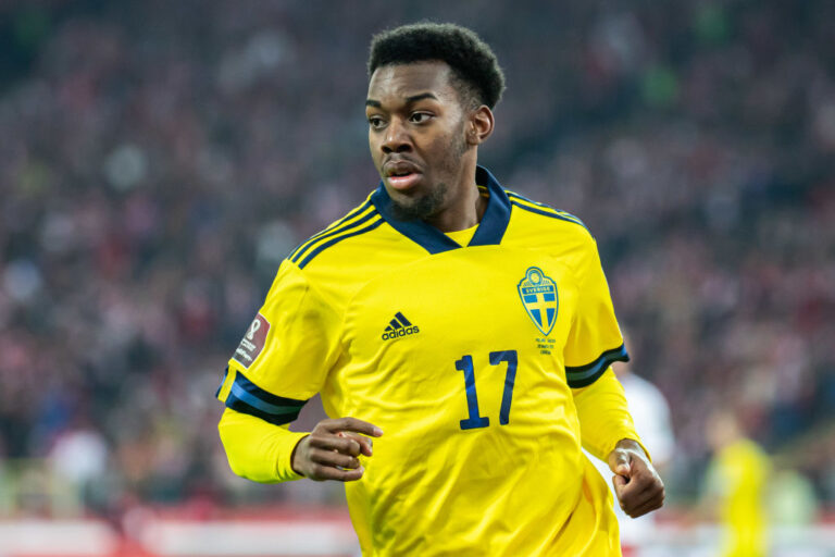 ระบุรายละเอียด